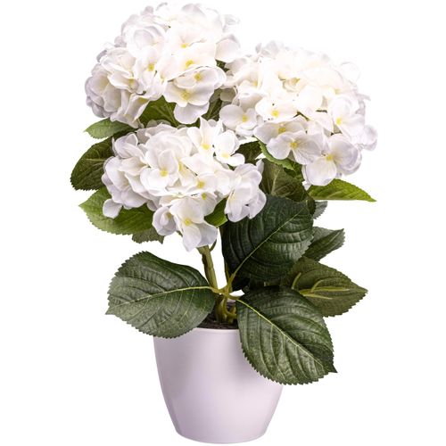4064118138518 - Kunstblume CREATIV GREEN Hortensienbusch weiß H32cm Obermaterial 85% Polyester 15% Polyethylen Kunstpflanzen 4064118138518 - Kunstblume CREATIV GREEN Hortensienbusch weiß H32cm Obermaterial 85% Polyester 15% Polyethylen Kunstpflanzen