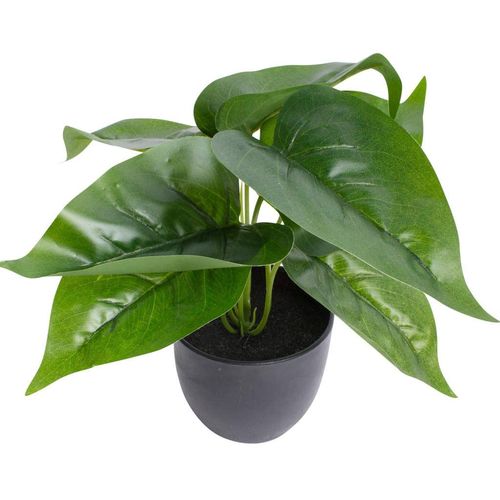 8505455153216 - Künstliche Zimmerpflanze BOTANIC-HAUS Philodendron Kunstpflanzen Gr Ø H 28 cm x 24 cm 1 St grün Künstliche Zimmerpflanzen 8505455153216 - Künstliche Zimmerpflanze BOTANIC-HAUS Philodendron Kunstpflanzen Gr Ø H 28 cm x 24 cm 1 St grün Künstliche Zimmerpflanzen