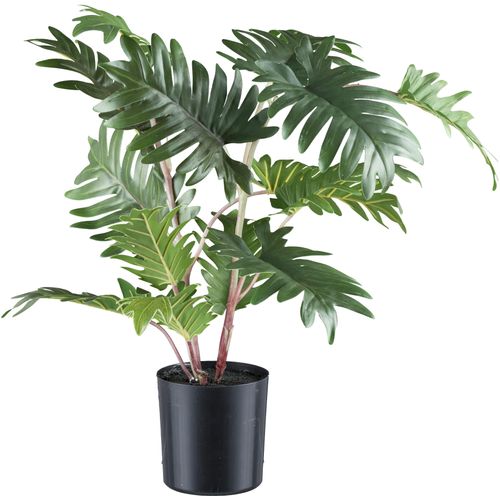 4064118241294 - Kunstbaum CREATIV GREEN Monstera grün H50cm Kunststoff Kunstpflanzen mit detailgetreuem Blattwerk