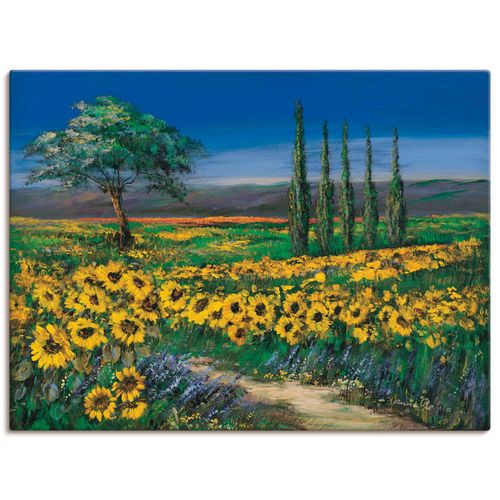 4055327459358 - Wandbild ARTLAND Sonnenblumenfeld Bilder Gr B H 80 cm x 60 cm Leinwandbild Blumen Querformat 1 St gelb Bild Poster Bilder als Leinwandbild Wandaufkleber oder in versch Größen 4055327459358 - Wandbild ARTLAND Sonnenblumenfeld Bilder Gr B H 80 cm x 60 cm Leinwandbild Blumen Querformat 1 St gelb Bild Poster Bilder als Leinwandbild Wandaufkleber oder in versch Größen