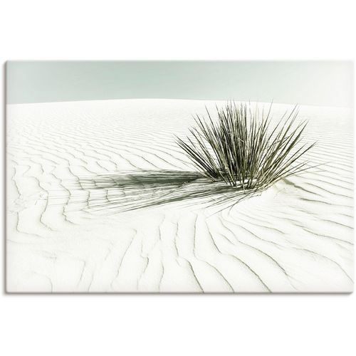 4062144650257 - Wandbild ARTLAND Dünen weißer Sand Vintage Bilder Gr B H 90 cm x 60 cm Leinwandbild Strandbilder Querformat 1 St weiß Kunstdrucke als Alubild Leinwandbild Wandaufkleber oder Poster in versch Größen 4062144650257 - Wandbild ARTLAND Dünen weißer Sand Vintage Bilder Gr B H 90 cm x 60 cm Leinwandbild Strandbilder Querformat 1 St weiß Kunstdrucke als Alubild Leinwandbild Wandaufkleber oder Poster in versch Größen