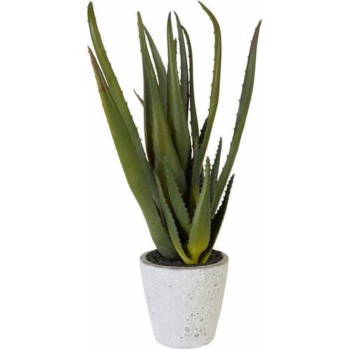 4003529083369 - Kunstpflanze CREATIV GREEN Aloe Kunstpflanzen Gr B H 14 cm x 44 cm 1 St grün Kunstkaktus Kunstpflanze Zimmerpflanze Kunstkakteen Kunstpflanzen 4003529083369 - Kunstpflanze CREATIV GREEN Aloe Kunstpflanzen Gr B H 14 cm x 44 cm 1 St grün Kunstkaktus Kunstpflanze Zimmerpflanze Kunstkakteen Kunstpflanzen