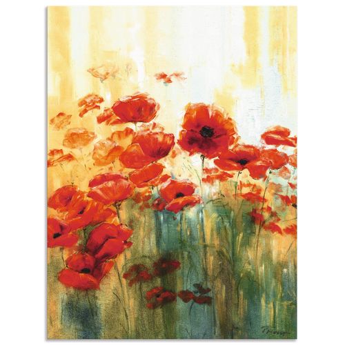 4057738407461 - Wandbild ARTLAND Mohnwiese Bilder Gr B H 60 cm x 80 cm Alu-Dibond-Druck Blumen 1 St rot Bild Poster Bilder als Alubild Leinwandbild Wandaufkleber oder in versch Größen 4057738407461 - Wandbild ARTLAND Mohnwiese Bilder Gr B H 60 cm x 80 cm Alu-Dibond-Druck Blumen 1 St rot Bild Poster Bilder als Alubild Leinwandbild Wandaufkleber oder in versch Größen