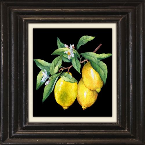 4049009362609 - Leinwandbild QUEENCE Zitronen gelb (farbe bild(er) gelb) B40cm H40cm T2cm Canvas Holzrahmen Bilder Premium-Leinwandstoff Handarbeit aus Deutschland 40x40cm