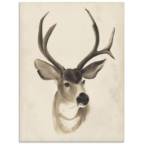 4058661379122 - Glasbild ARTLAND Wasserfarben Tierlehre II Bilder Gr B H 45 cm x 60 cm Glasbild Wildtiere Hochformat 1 St beige (naturfarben) Bild Glasbild Glasbilder Bilder in verschiedenen Größen 4058661379122 - Glasbild ARTLAND Wasserfarben Tierlehre II Bilder Gr B H 45 cm x 60 cm Glasbild Wildtiere Hochformat 1 St beige (naturfarben) Bild Glasbild Glasbilder Bilder in verschiedenen Größen