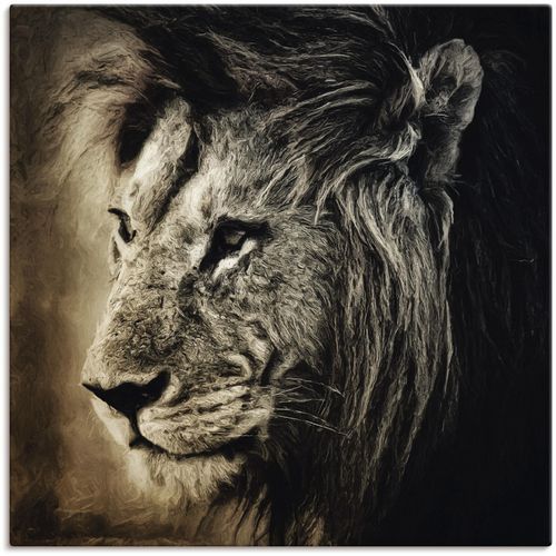 4055327788069 - Wandbild ARTLAND Löwe II Bilder Gr B H 70 cm x 70 cm Leinwandbild Wildtiere 1 St braun Kunstdrucke Bilder als Leinwandbild Wandaufkleber oder Poster in versch Größen