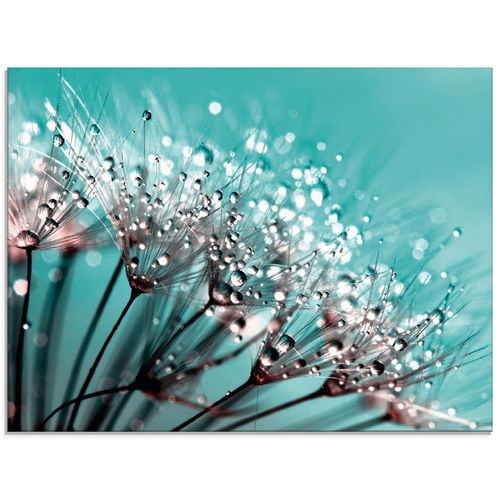4058661673206 - Glasbild ARTLAND Glitzernde Pusteblume I Bilder Gr B H 60 cm x 45 cm Glasbild Blumen Querformat 1 St blau Bild Glasbild Glasbilder Bilder in verschiedenen Größen 4058661673206 - Glasbild ARTLAND Glitzernde Pusteblume I Bilder Gr B H 60 cm x 45 cm Glasbild Blumen Querformat 1 St blau Bild Glasbild Glasbilder Bilder in verschiedenen Größen