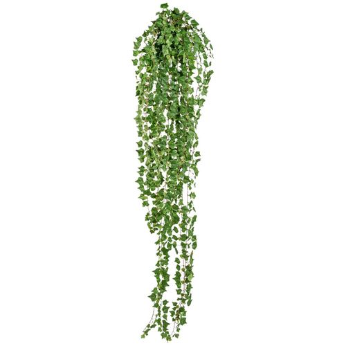 4064118039341 - Kunstranke CREATIV GREEN Englische Efeuranke Kunstpflanzen Gr H 170 cm 1 St grün Kunstpflanze Kunstranke Zimmerpflanze Kunst-Ranken Kunstpflanzen hängender Efeu ohne Topf 4064118039341 - Kunstranke CREATIV GREEN Englische Efeuranke Kunstpflanzen Gr H 170 cm 1 St grün Kunstpflanze Kunstranke Zimmerpflanze Kunst-Ranken Kunstpflanzen hängender Efeu ohne Topf