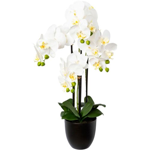 4064118137931 - Kunstorchidee CREATIV GREEN Phalaenopsis im Resintopf weiß H69cm Obermaterial 100% Polyethylen Kunstpflanzen mit Real-Touch-Blüten 4064118137931 - Kunstorchidee CREATIV GREEN Phalaenopsis im Resintopf weiß H69cm Obermaterial 100% Polyethylen Kunstpflanzen mit Real-Touch-Blüten