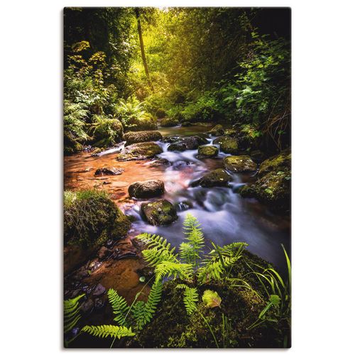 4062144011928 - Wandbild ARTLAND Wildbach im Wald Bilder Gr B H 60 cm x 90 cm Leinwandbild Gewässer Hochformat 1 St grün Bild Leinwandbild Kunstdrucke Bilder als Alubild Leinwandbild Wandaufkleber oder Poster in versch Größen 4062144011928 - Wandbild ARTLAND Wildbach im Wald Bilder Gr B H 60 cm x 90 cm Leinwandbild Gewässer Hochformat 1 St grün Bild Leinwandbild Kunstdrucke Bilder als Alubild Leinwandbild Wandaufkleber oder Poster in versch Größen