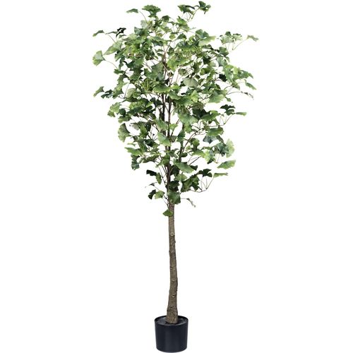 4064118181866 - Kunstpflanze CREATIV GREEN Gingkobaum grün H150cm Kunstpflanzen mit detailgetreuem Blattwerk 4064118181866 - Kunstpflanze CREATIV GREEN Gingkobaum grün H150cm Kunstpflanzen mit detailgetreuem Blattwerk