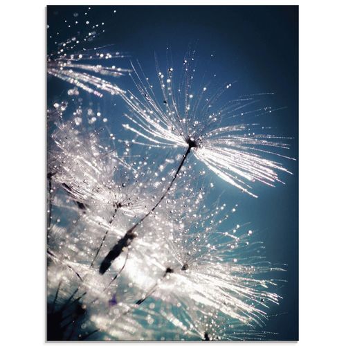 4059745191234 - Glasbild ARTLAND Pusteblume Kristallschirmchen Bilder Gr B H 45 cm x 60 cm Glasbild Blumen Hochformat 1 St blau Bild Glasbild Glasbilder Bilder in verschiedenen Größen 4059745191234 - Glasbild ARTLAND Pusteblume Kristallschirmchen Bilder Gr B H 45 cm x 60 cm Glasbild Blumen Hochformat 1 St blau Bild Glasbild Glasbilder Bilder in verschiedenen Größen