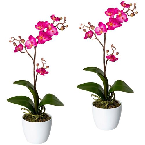 4064118038771 - Kunstpflanze CREATIV GREEN Orchidee Phalaenopsis Kunstpflanzen Gr H 55 cm 2 St pink Künstliche Zimmerpflanzen Kunstpflanzen im Keramiktopf 4064118038771 - Kunstpflanze CREATIV GREEN Orchidee Phalaenopsis Kunstpflanzen Gr H 55 cm 2 St pink Künstliche Zimmerpflanzen Kunstpflanzen im Keramiktopf