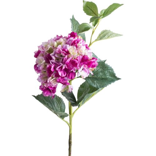 4006258447556 - Kunstblume BOTANIC-HAUS Hortensie Kunstpflanzen Gr Ø H 20 cm x 94 cm 1 St bunt (pink rosa creme grün) Kunst-Blumen 4006258447556 - Kunstblume BOTANIC-HAUS Hortensie Kunstpflanzen Gr Ø H 20 cm x 94 cm 1 St bunt (pink rosa creme grün) Kunst-Blumen