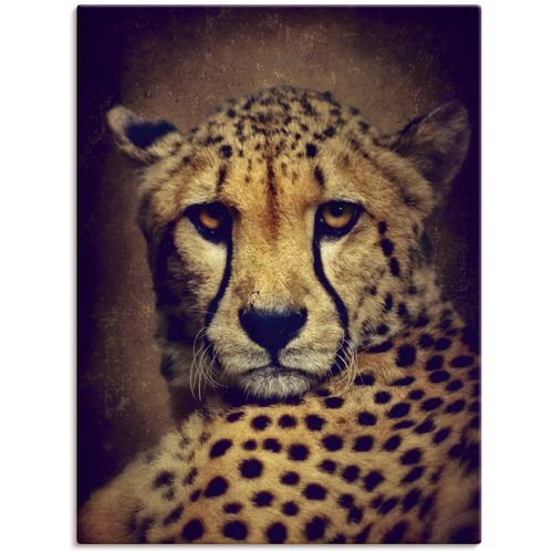 4055327303033 - Wandbild ARTLAND Gepard Bilder Gr B H 60 cm x 80 cm Leinwandbild Wildtiere 1 St braun Kunstdrucke Bilder als Leinwandbild Wandaufkleber oder Poster in versch Größen