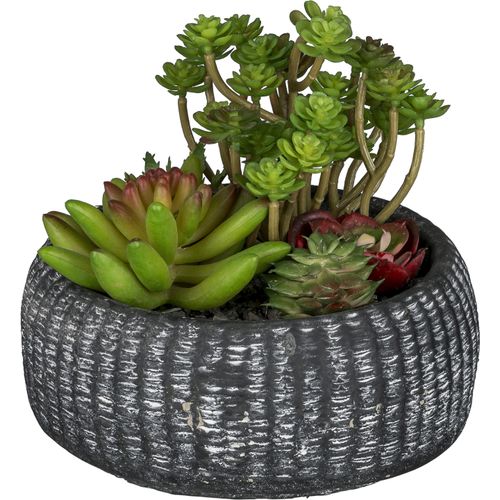 4064118241263 - Kunstpflanze CREATIV GREEN Sukkulentenarrangement grün H16cm Kunststoff Kunstpflanzen mit trendiger Schale 4064118241263 - Kunstpflanze CREATIV GREEN Sukkulentenarrangement grün H16cm Kunststoff Kunstpflanzen mit trendiger Schale