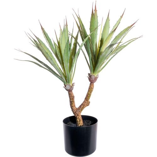 4064118144212 - Künstliche Zimmerpflanze CREATIV GREEN Dracaena draco Kunstpflanzen Gr Ø H 26 cm x 60 cm 1 St grün Künstliche Zimmerpflanzen im Topf 4064118144212 - Künstliche Zimmerpflanze CREATIV GREEN Dracaena draco Kunstpflanzen Gr Ø H 26 cm x 60 cm 1 St grün Künstliche Zimmerpflanzen im Topf