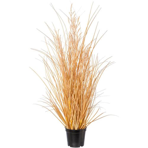 4064118137375 - Kunstgras CREATIV GREEN Grasbusch Carex beige (natur) H60cm Obermaterial 100% Polyethylen Kunstpflanzen 4064118137375 - Kunstgras CREATIV GREEN Grasbusch Carex beige (natur) H60cm Obermaterial 100% Polyethylen Kunstpflanzen