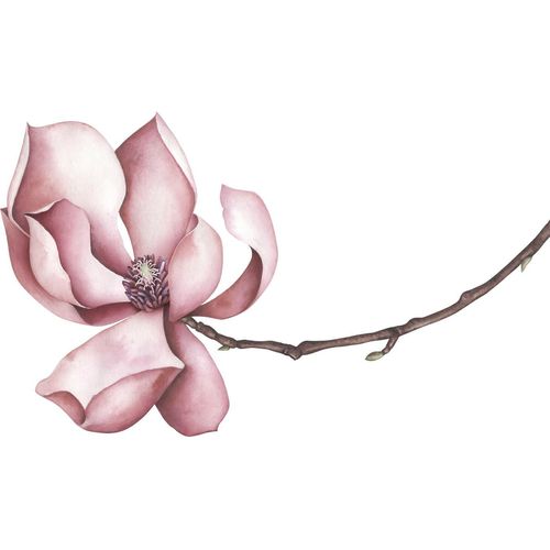4049009858072 - Wandtattoo QUEENCE Sabrina rosa B80cm Folie Wandtattoos Wandbild Sticker rosa Blume Blüte selbstklebend 4049009858072 - Wandtattoo QUEENCE Sabrina rosa B80cm Folie Wandtattoos Wandbild Sticker rosa Blume Blüte selbstklebend