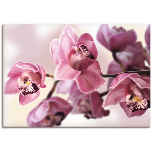 4055327162777 - Wandbild ARTLAND Rosa Orchidee Bilder Gr B H 100 cm x 70 cm Leinwandbild Blumenbilder Querformat 1 St pink Kunstdrucke als Alubild Leinwandbild Wandaufkleber oder Poster in versch Größen