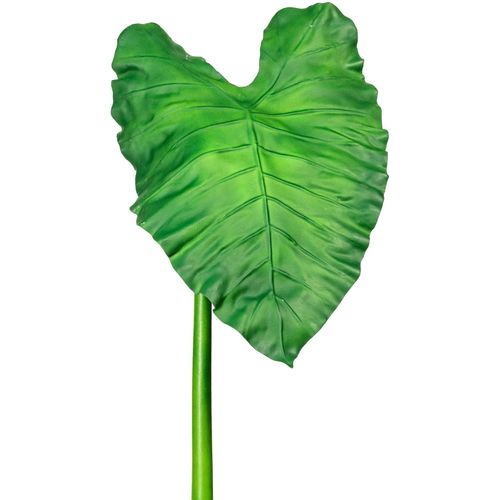 4064118842880 - Kunstzweig CREATIV GREEN Callablatt Kunstpflanzen Gr H 105 cm 1 St grün Kunst-Zweige 4064118842880 - Kunstzweig CREATIV GREEN Callablatt Kunstpflanzen Gr H 105 cm 1 St grün Kunst-Zweige