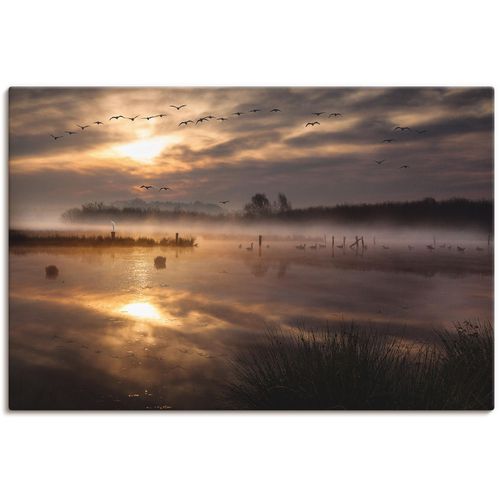 4059745491235 - Wandbild ARTLAND Aufbruch der Zugvögel Bilder Gr B H 90 cm x 60 cm Leinwandbild Gewässer 1 St braun Bild Kunstdruck Metallbild Metallbilder Bilder als Alubild Leinwandbild Wandaufkleber oder Poster in versch Größen