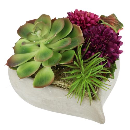 4019844742782 - Kunstblume IGEA Kunstpflanzen Gr B H 18 cm x 16 cm 1 St rot (burgund) Kunst-Blumen Kunstpflanzen im herzförmigen Topf 4019844742782 - Kunstblume IGEA Kunstpflanzen Gr B H 18 cm x 16 cm 1 St rot (burgund) Kunst-Blumen Kunstpflanzen im herzförmigen Topf