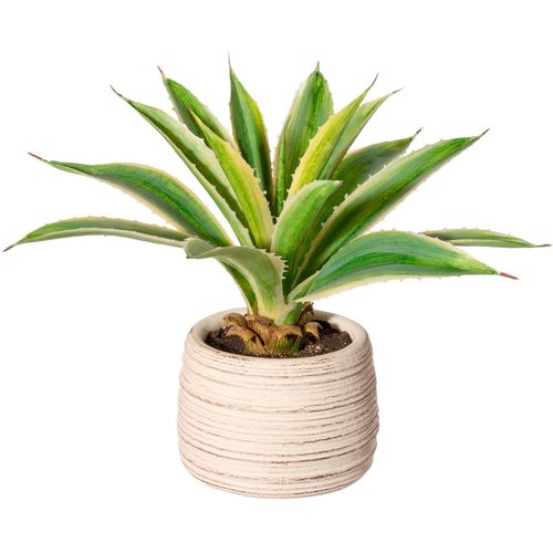 4064118138129 - Künstliche Zimmerpflanze CREATIV GREEN Agave im Zementtopf Kunstpflanzen Gr H 25 cm 1 St grün Künstliche Zimmerpflanzen 4064118138129 - Künstliche Zimmerpflanze CREATIV GREEN Agave im Zementtopf Kunstpflanzen Gr H 25 cm 1 St grün Künstliche Zimmerpflanzen