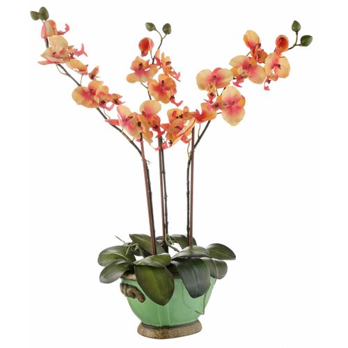 4019844612887 - Kunstpflanze IGEA Orchidee Kunstpflanzen Gr B H 35 cm x 60 cm 1 St orange Kunstorchidee Kunstpflanze Zimmerpflanze Künstliche Zimmerpflanzen Kunstpflanzen