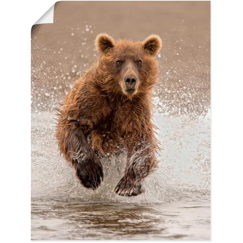 4058661390912 - Wandbild ARTLAND Bären beim Spielen II Bilder Gr B H 45 cm x 60 cm Poster Wildtiere Hochformat 1 St braun Bild Poster Bilder als Alubild Leinwandbild Wandaufkleber oder in versch Größen 4058661390912 - Wandbild ARTLAND Bären beim Spielen II Bilder Gr B H 45 cm x 60 cm Poster Wildtiere Hochformat 1 St braun Bild Poster Bilder als Alubild Leinwandbild Wandaufkleber oder in versch Größen
