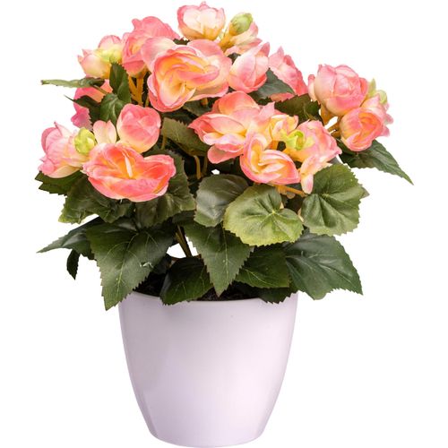 4064118241065 - Kunstblume CREATIV GREEN Begonie rosa H28cm Kunststoff Kunstpflanzen mit farbenfrohen Blüten 4064118241065 - Kunstblume CREATIV GREEN Begonie rosa H28cm Kunststoff Kunstpflanzen mit farbenfrohen Blüten