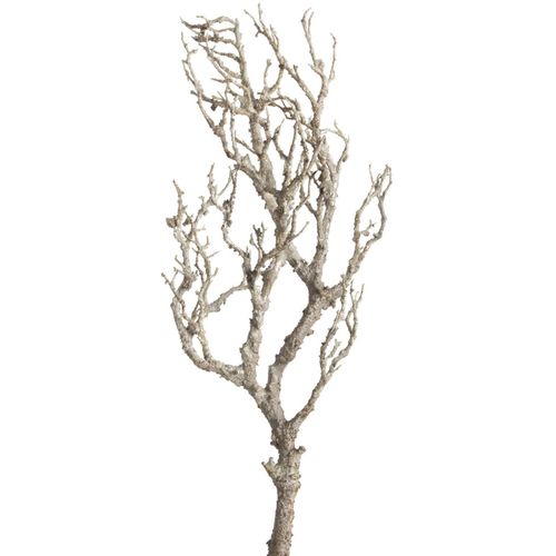 4260600491035 - Kunstzweig BOTANIC-HAUS Deko-Ast beige (natur) Kunstpflanzen Ø H 28cm x 90cm Kunststoff B28cm H90cm T13cm 4260600491035 - Kunstzweig BOTANIC-HAUS Deko-Ast beige (natur) Kunstpflanzen Ø H 28cm x 90cm Kunststoff B28cm H90cm T13cm