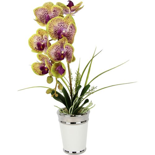 4019844793364 - Kunstblume IGEA Orchidee Kunstpflanzen Gr B H L 30 cm x 52 cm x 40 cm rosa Weitere Weihnachtsdeko im Topf aus Keramik Seidenblume Real Touch 4019844793364 - Kunstblume IGEA Orchidee Kunstpflanzen Gr B H L 30 cm x 52 cm x 40 cm rosa Weitere Weihnachtsdeko im Topf aus Keramik Seidenblume Real Touch