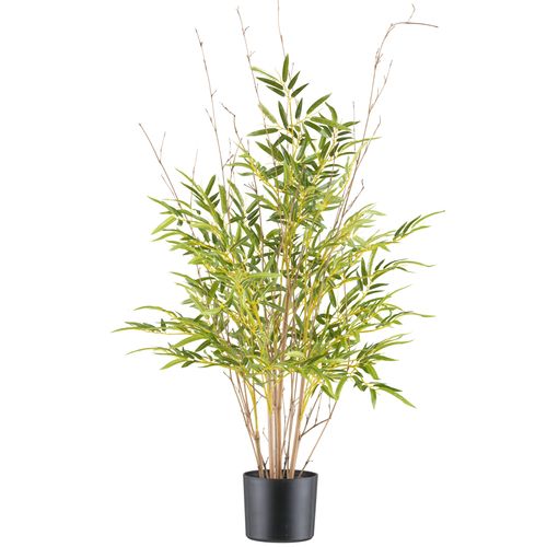 4064118242031 - Kunstbambus CREATIV GREEN Bambus grün H90cm Kunststoff Kunstpflanzen mit Naturstamm 4064118242031 - Kunstbambus CREATIV GREEN Bambus grün H90cm Kunststoff Kunstpflanzen mit Naturstamm