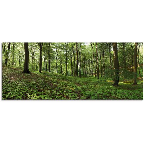 4062144100912 - Glasbild ARTLAND Panorama von einem grünen Sommerwald Bilder Gr B H 125 cm x 50 cm Glasbild Wald 1 St grün Glasbilder in verschiedenen Größen 4062144100912 - Glasbild ARTLAND Panorama von einem grünen Sommerwald Bilder Gr B H 125 cm x 50 cm Glasbild Wald 1 St grün Glasbilder in verschiedenen Größen