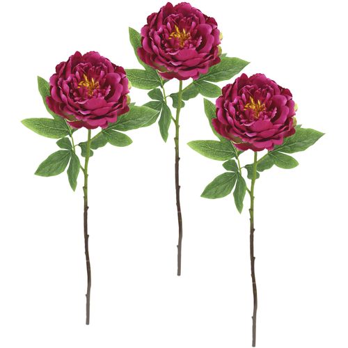 4019844812638 - Kunstblume IGEA Päonie Bauernrose rosa (dunkelrosa) B20cm H60cm L14cm Polyester Kunstpflanzen Pfingstrosen Einzelblume 3er Set 4019844812638 - Kunstblume IGEA Päonie Bauernrose rosa (dunkelrosa) B20cm H60cm L14cm Polyester Kunstpflanzen Pfingstrosen Einzelblume 3er Set
