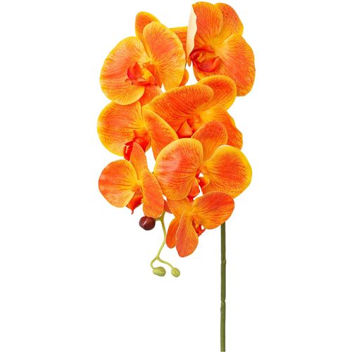 4064118180890 - Kunstorchidee CREATIV GREEN Orchidee Phalaenopsis orange H76cm Kunstpflanzen mit real-touch-Blüten 4064118180890 - Kunstorchidee CREATIV GREEN Orchidee Phalaenopsis orange H76cm Kunstpflanzen mit real-touch-Blüten