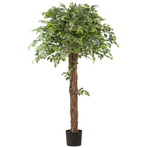 4064118242000 - Kunstpflanze CREATIV GREEN Ficus benjamina grün H175cm Kunststoff Kunstpflanzen mit lianenartigem Stamm 4064118242000 - Kunstpflanze CREATIV GREEN Ficus benjamina grün H175cm Kunststoff Kunstpflanzen mit lianenartigem Stamm