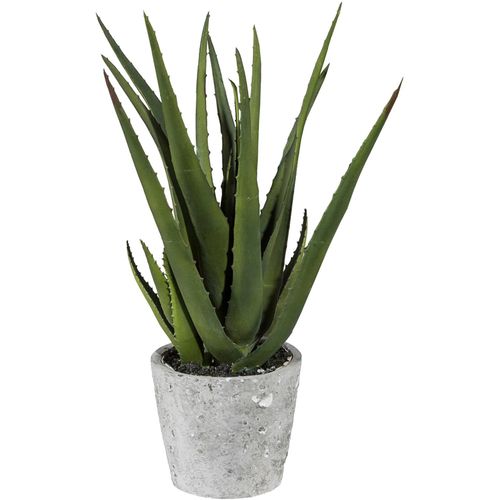 4064118137764 - Künstliche Zimmerpflanze CREATIV GREEN Aloe im Zementtopf Kunstpflanzen Gr H 40 cm 1 St grün Künstliche Zimmerpflanzen 4064118137764 - Künstliche Zimmerpflanze CREATIV GREEN Aloe im Zementtopf Kunstpflanzen Gr H 40 cm 1 St grün Künstliche Zimmerpflanzen