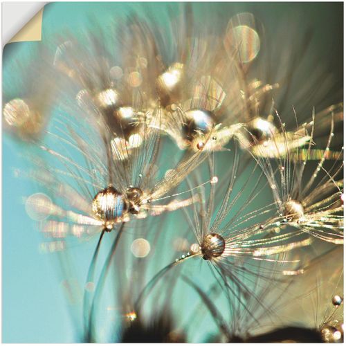 4058661088352 - Wandbild ARTLAND Pusteblume glänzendes Gold Bilder Gr B H 30 cm x 30 cm Wandaufkleber - Vinyl Blumen 1 St blau Bild Kunstdruck Poster Bilder als Alubild Leinwandbild Wandaufkleber oder in versch Größen