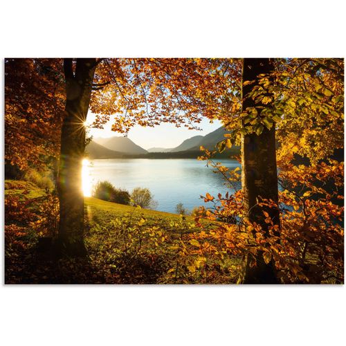4062144755594 - Wandbild ARTLAND Herbst am Sylvensteinsee Bilder Gr B H 60 cm x 40 cm Alu-Dibond-Druck Gewässer Querformat 1 St orange Kunstdrucke als Alubild Leinwandbild Wandaufkleber oder Poster in versch Größen 4062144755594 - Wandbild ARTLAND Herbst am Sylvensteinsee Bilder Gr B H 60 cm x 40 cm Alu-Dibond-Druck Gewässer Querformat 1 St orange Kunstdrucke als Alubild Leinwandbild Wandaufkleber oder Poster in versch Größen