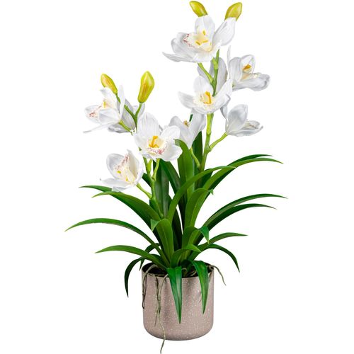 4064118181088 - Kunstorchidee Orchidee Cymbidie Orchidee Creativ green Höhe 58 cm mit traumhaft schönen Blüten weiß 4064118181088 - Kunstorchidee Orchidee Cymbidie Orchidee Creativ green Höhe 58 cm mit traumhaft schönen Blüten weiß