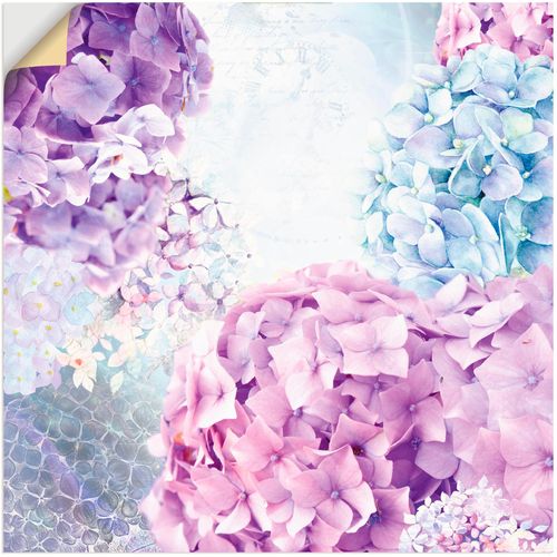 4059745433129 - Wandbild ARTLAND Blau und Pink Hortensie Bilder Gr B H 40 cm x 40 cm Wandaufkleber - Vinyl Blumen 1 St blau Bild Kunstdruck Metallbild Metallbilder Bilder als Alubild Leinwandbild Wandaufkleber oder Poster in versch Größen 4059745433129 - Wandbild ARTLAND Blau und Pink Hortensie Bilder Gr B H 40 cm x 40 cm Wandaufkleber - Vinyl Blumen 1 St blau Bild Kunstdruck Metallbild Metallbilder Bilder als Alubild Leinwandbild Wandaufkleber oder Poster in versch Größen