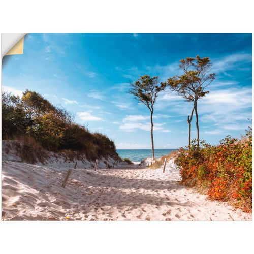 4062144300251 - Wandbild ARTLAND Weststrand Darss Bilder Gr B H 40 cm x 30 cm Wandaufkleber - Vinyl Strand 1 St blau Bild Kunstdruck Leinwandbild Kunstdrucke Bilder als Leinwandbild Wandaufkleber oder Poster in versch Größen 4062144300251 - Wandbild ARTLAND Weststrand Darss Bilder Gr B H 40 cm x 30 cm Wandaufkleber - Vinyl Strand 1 St blau Bild Kunstdruck Leinwandbild Kunstdrucke Bilder als Leinwandbild Wandaufkleber oder Poster in versch Größen