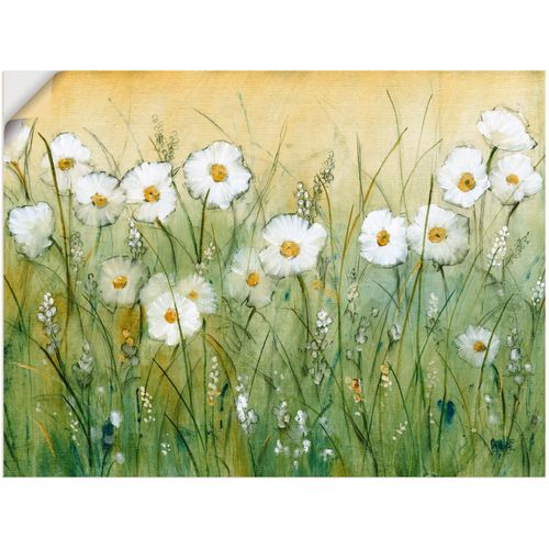 4062144374474 - Wandbild ARTLAND Gänseblümchenfrühling II Bilder Gr B H 60 cm x 45 cm Wandaufkleber - Vinyl Blumen Querformat 1 St grün Bild Metallbild Metallbilder Bilder als Alubild Leinwandbild Wandaufkleber oder Poster in versch Größen 4062144374474 - Wandbild ARTLAND Gänseblümchenfrühling II Bilder Gr B H 60 cm x 45 cm Wandaufkleber - Vinyl Blumen Querformat 1 St grün Bild Metallbild Metallbilder Bilder als Alubild Leinwandbild Wandaufkleber oder Poster in versch Größen