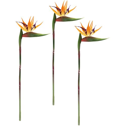 4019844801441 - Kunstblume IGEA Künstliche Blume Strelitzie Paradiesvogelblume Exotischer Dekozweig Kunstpflanzen Gr B H L 15 cm x 60 cm x 3 cm 3 St orange Kunst-Blumen Zweig Einzelblume Dekoblume Stielblume Hochzeit Dekoration 4019844801441 - Kunstblume IGEA Künstliche Blume Strelitzie Paradiesvogelblume Exotischer Dekozweig Kunstpflanzen Gr B H L 15 cm x 60 cm x 3 cm 3 St orange Kunst-Blumen Zweig Einzelblume Dekoblume Stielblume Hochzeit Dekoration