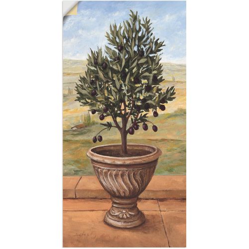 4057738259138 - Wandbild ARTLAND Olivenbaum Bilder Gr B H 30 cm x 60 cm Wandaufkleber - Vinyl Pflanzen 1 St grün Bild Metallbild Metallbilder Bilder als Alubild Leinwandbild Wandaufkleber oder Poster in versch Größen 4057738259138 - Wandbild ARTLAND Olivenbaum Bilder Gr B H 30 cm x 60 cm Wandaufkleber - Vinyl Pflanzen 1 St grün Bild Metallbild Metallbilder Bilder als Alubild Leinwandbild Wandaufkleber oder Poster in versch Größen