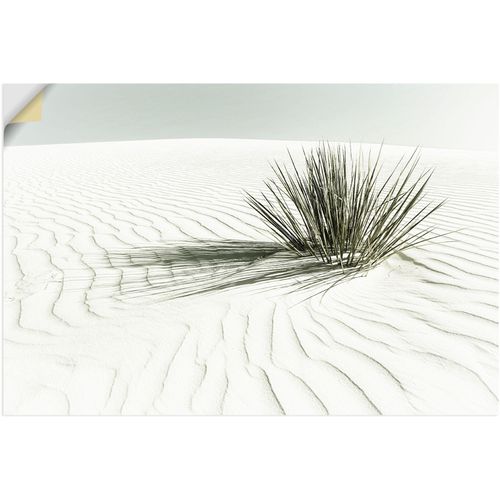 4062144650264 - Wandbild ARTLAND Dünen weißer Sand Vintage Bilder Gr B H 90 cm x 60 cm Wandaufkleber - Vinyl Strandbilder Querformat 1 St weiß Kunstdrucke als Alubild Leinwandbild Wandaufkleber oder Poster in versch Größen 4062144650264 - Wandbild ARTLAND Dünen weißer Sand Vintage Bilder Gr B H 90 cm x 60 cm Wandaufkleber - Vinyl Strandbilder Querformat 1 St weiß Kunstdrucke als Alubild Leinwandbild Wandaufkleber oder Poster in versch Größen