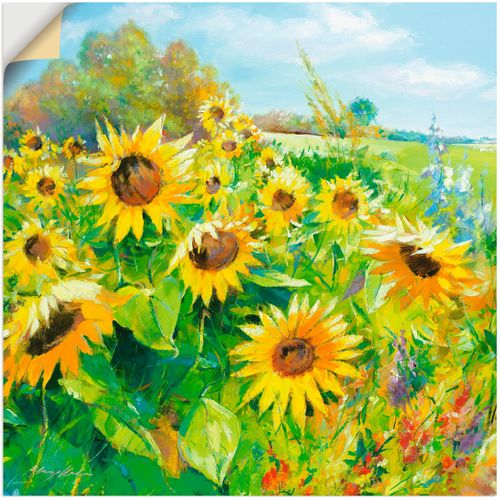 4057738178699 - Wandbild ARTLAND Sommerwiese mit Sonnenblumen Bilder Gr B H 50 cm x 50 cm Wandaufkleber - Vinyl Blumenwiese 1 St gelb Bild Poster Bilder als Alubild Leinwandbild Wandaufkleber oder in versch Größen 4057738178699 - Wandbild ARTLAND Sommerwiese mit Sonnenblumen Bilder Gr B H 50 cm x 50 cm Wandaufkleber - Vinyl Blumenwiese 1 St gelb Bild Poster Bilder als Alubild Leinwandbild Wandaufkleber oder in versch Größen