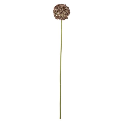 5711173343003 - Allium Stiel Braun Künstliche Blume Ø 9xH70 cm 5711173343003 - Allium Stiel Braun Künstliche Blume Ø 9xH70 cm